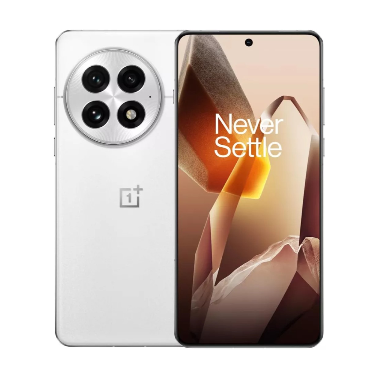 OnePlus 13 5G Silver